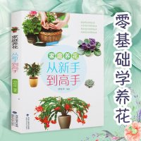 家庭养花从新手到高手四季养花书籍种花图书大全花卉种植技术书籍室内植物盆栽花卉养殖大全的书实用