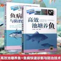 高效池塘养鱼+鱼病快速诊断与防治技术淡水鱼养殖养鱼书籍养鱼必读鱼苗种培育饲料喂养鱼塘消毒