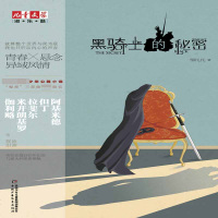 黑骑士的秘密/儿童文学淘乐酷