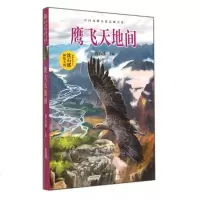 鹰飞天地间/中国动物小说品藏书系正版书籍