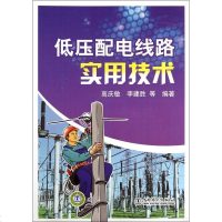 低压配电线路实用技术