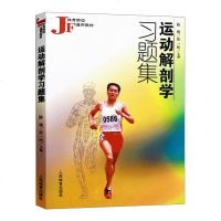 运动解剖学习题集陈珑张一民人体解剖学实用图解人体图谱运动生理学训练学实用系统解剖教材书籍