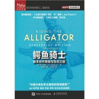 鳄鱼骑士:剧本创作策略与生存之道
