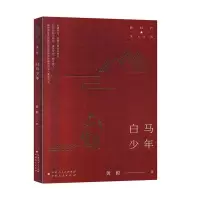 白马少年文学黄毅著新疆人民出版社9787228204151