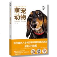 快乐绘萌宠动物彩铅绘画初学入猫咪狗狗萌宠绘本少儿成人彩铅达人实用手册彩铅动物画技法教学