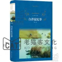 白洋淀纪事/经典译林
