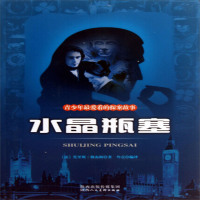 水晶瓶塞小说书籍