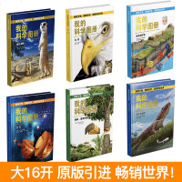 探索与发现书籍全套6册我的科学图册哺乳动物宇宙鸟类岩石与矿物植物藻类与菌类进化与遗传图鉴科普类书籍