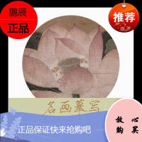 出水芙蓉图 名画摹写宋人花鸟宋画临摹 中国画学国画 江西美术出版 原大高清白描样稿临摹示范步骤 初学