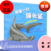 正版 我是一只锤头鲨 我的家在大海里绘本 儿童绘本童书 儿童图画书 海洋科普 科普读物