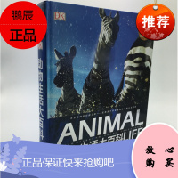 [正版] DK动物生活大百科 全彩 6-9-10-12岁小学生课外书读物 野生动物行为视觉圣典 A3