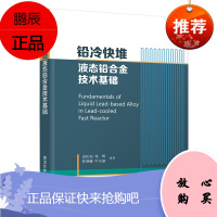 [官方正版]铅冷快堆液态铅合金技术基础 成松柏 铅合金液态金属冷却堆基本知识