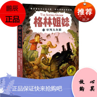 审判大灰狼·格林姐妹第二辑(奇想国世界小说系列)