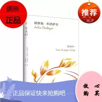 万火归一 （阿根廷）胡里奥·科塔萨尔著 正版硬壳精装 拉美短篇小说巨匠集大成之作