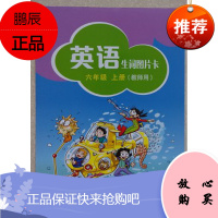正版英语生词图片卡(教师用)六年级上册 上海教育出版社 牛津英语生词单词图片卡