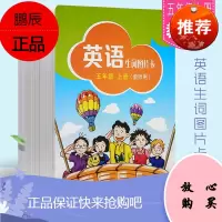 正版英语生词图片卡(教师用)五年级上册 上海教育出版社 牛津英语生词单词字母图片卡