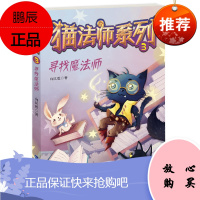 寻找魔法师2F猫法师系列