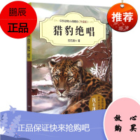 中外动物小说精品（升级版）：猎豹绝唱