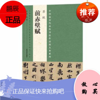 正版 中国代表性书法作品放大本系列 苏轼《前赤壁赋》 张海 河南美术