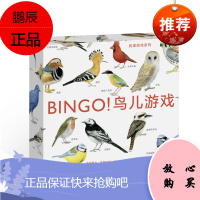 宾果游戏系列 BINGO鸟儿游戏 3至6岁益智儿童玩具书启蒙训练益智早教绘本书籍识字绘本