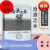 沧浪之水 阎真著 经典官场小说 让人惊奇 共鸣的小说 中国现当代小说 长篇小说