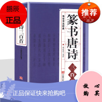 篆书唐诗三百首 中国传世书法名家书法隶篆正反篆刻大字典王羲之 柳公权、欧阳询毛笔字帖书法练习教程书籍