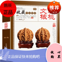 文玩核桃书籍 文玩核桃 收藏赏玩指南 文玩核桃辨别把玩养护 品种鉴定与选购 收藏与鉴赏 文玩入门知识