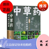 中草药野外速认图册 李斌 中草药野外植物鉴别 中国常见植物手册 野外植物识别辨别图解书 图解中草药