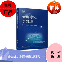 Y太阳能利用前沿技术丛书 光电净化水处理 光电材料在水处理中应用 光电器件水处理新技术光电材料与环