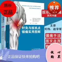 共2册 肌肉链与扳机点 手法镇痛的新理念及其应用 第2版+针灸与扳机点镇痛实用图解 山东科学技术出