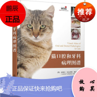 猫口腔和牙科病理图谱 猫牙科病理图谱治疗手册 犬猫组织学牙齿结构 犬猫齿系图谱 小动物牙周探查图例