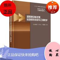 超高速动能武器钻地毁伤效应与工程防护 复合遮弹防护技术 超高速侵彻相似原理模拟试验技术书 点穴式新