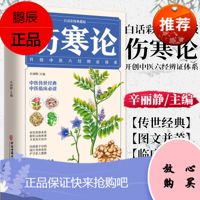 伤寒论 白话彩图典藏版 辛丽静 主编 开创中医六经辨证体系 中医传世经典 中医临床必读 养生知识