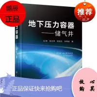 [化工社直供]地下压力容器——储气井