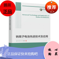 国之重器出版工程 钠离子电池先进技术及应用