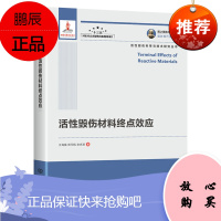 国之重器出版工程 活性毁伤材料终点效应