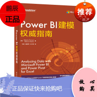 Power BI建模权威指南 Excel PowerBI建模 电商BI系统框架搭建 数据分析Pow