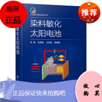 [化工社直供]2021新书 染料敏化太阳电池 染料敏化太阳电池的材料电极电对电解质结构及测试技术太