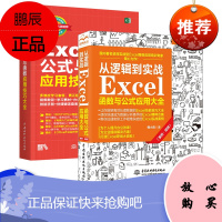 正版 Excel公式与函数应用技巧大全 office办公自动化 新书学电脑 Excel实战操作