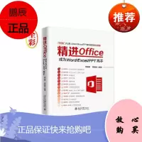 精进Office:成为Word/Excel/PPT高手