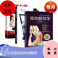 【套装3本】瑜伽解剖学全彩图解第2版+阻力带训练指南+弹力带训练指南 第3版 女性健身减