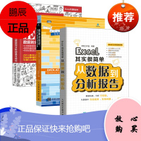 excel数据处理 从Excel数据到分析结果可视化 excel表格制作 excel图表Excel