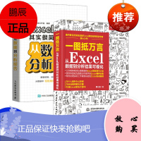 excel数据处理 从Excel数据到分析结果可视化 excel表格制作 excel图表Excel