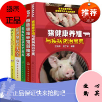 猪病防治及安全用药 猪病防治技术诊治书 养猪书 猪常见病治疗科学用药书 畜禽病防治及安全用药丛书
