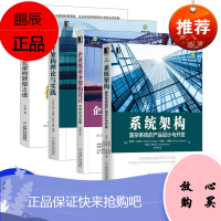 软件架构理论与实践 SA书籍 SA的基础理论方法到技术实现详解分析书籍 SA的开发实践 SA未来发