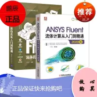 ANSYS Fluent流体计算从入门到精通(2020版)