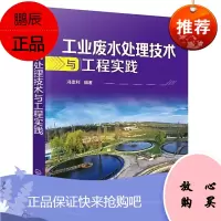 工业废水处理技术与工程实践 高等学校环境工程市政工程及相关专业的师生从事污水处理 工业废水处理领域