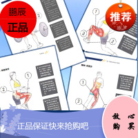 正版书籍 铁人三项运动训练完全指南 自行车长短距离跑步游泳冲浪骑行潜水健身宝典国家队比赛全书心理调节