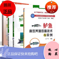 [全4册]全国主推高效水产养殖技术丛书鲈鱼高效养殖致富技术与实例淡水鱼健康高效养殖鲈鱼养殖一月通鲈