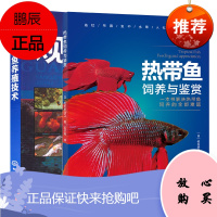 [全2册]热带鱼饲养与鉴赏+观赏鱼养殖技术热带鱼图鉴观赏鱼养鱼大全书海底生物鱼病繁殖观赏鱼养殖基本